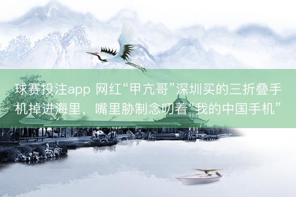 球赛投注app 网红“甲亢哥”深圳买的三折叠手机掉进海里,嘴里胁制念叨着“我的中国手机”