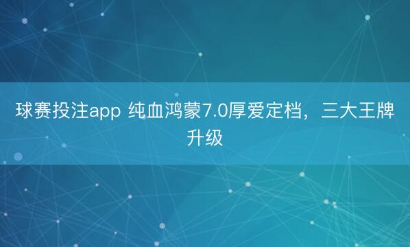 球赛投注app 纯血鸿蒙7.0厚爱定档，三大王牌升级