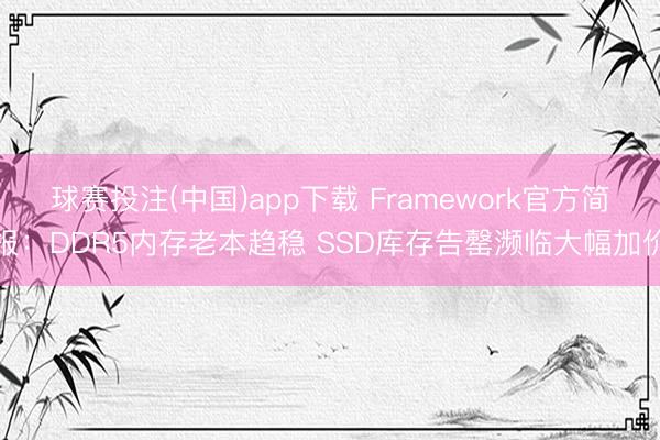 球赛投注(中国)app下载 Framework官方简报：DDR5内存老本趋稳 SSD库存告罄濒临大幅加价