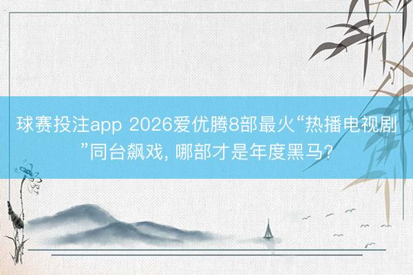 球赛投注app 2026爱优腾8部最火“热播电视剧”同台飙戏， 哪部才是年度黑马?