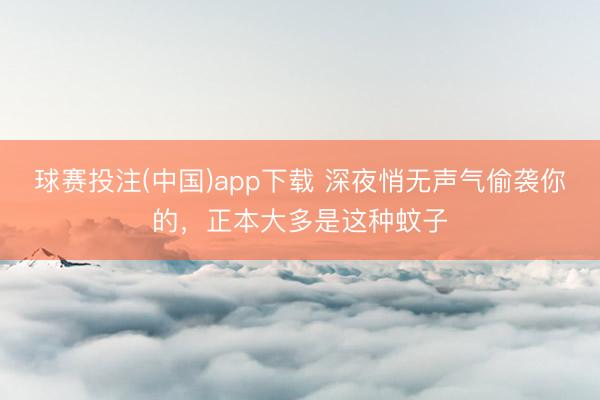 球赛投注(中国)app下载 深夜悄无声气偷袭你的，<a href=