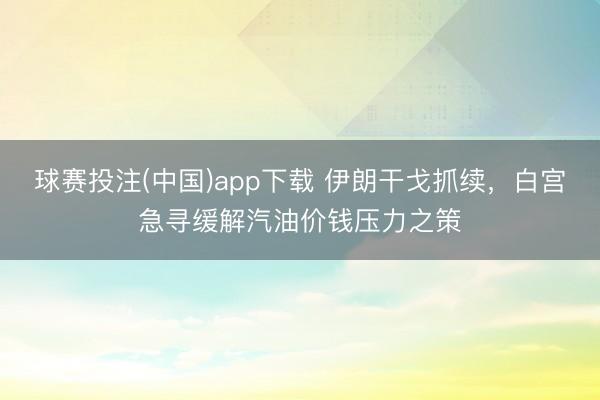 球赛投注(中国)app下载 伊朗干戈抓续,白宫急寻缓解汽油价钱压力之策