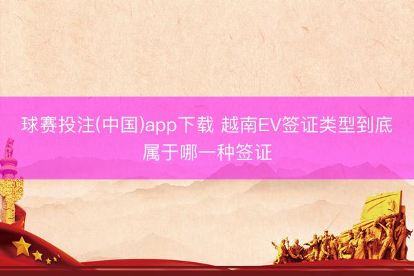 球赛投注(中国)app下载 越南EV签证类型到底属于哪一种签证