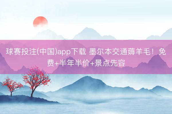 球赛投注(中国)app下载 墨尔本交通薅羊毛!免费+半年半价+景点先容