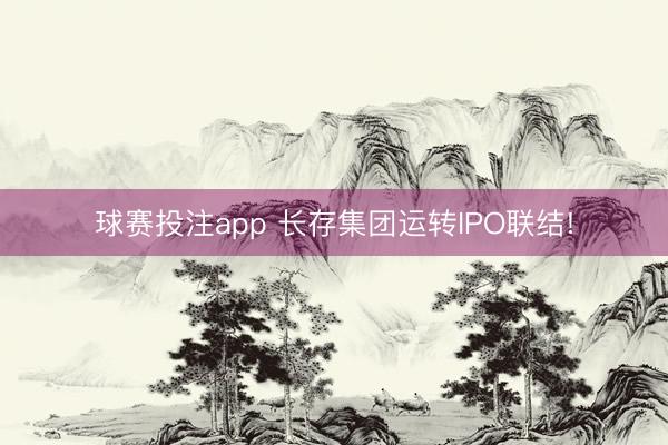 球赛投注app 长存集团运转IPO联结!