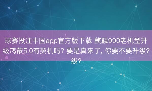 球赛投注中国app官方版下载 麒麟990老机型升级鸿蒙5.0有契机吗? 要是真来了， 你要不要升级?