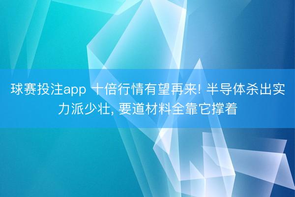 球赛投注app 十倍行情有望再来! 半导体杀出实力派少壮， 要道材料全靠它撑着