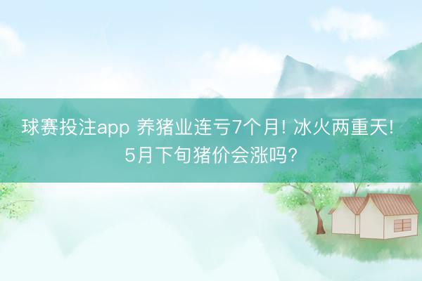 球赛投注app 养猪业连亏7个月! 冰火两重天! 5月下旬猪价会涨吗?