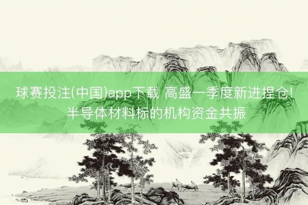 球赛投注(中国)app下载 高盛一季度新进捏仓! 半导体材料标的机构资金共振