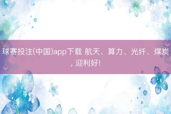 球赛投注(中国)app下载 航天、算力、光纤、煤炭， 迎利好!