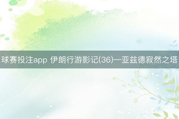 球赛投注app 伊朗行游影记(36)—亚兹德寂然之塔