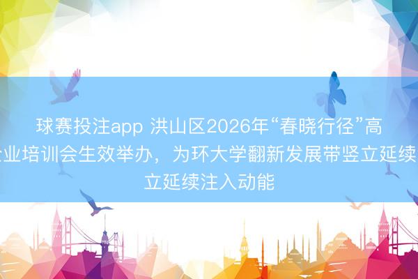 球赛投注app 洪山区2026年“春晓行径”高新技能企业培训会生效举办，为环大学翻新发展带竖立延续注入动能