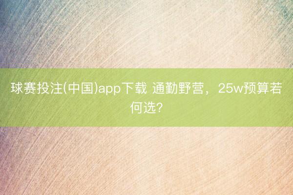 球赛投注(中国)app下载 通勤野营,25w预算若何选?