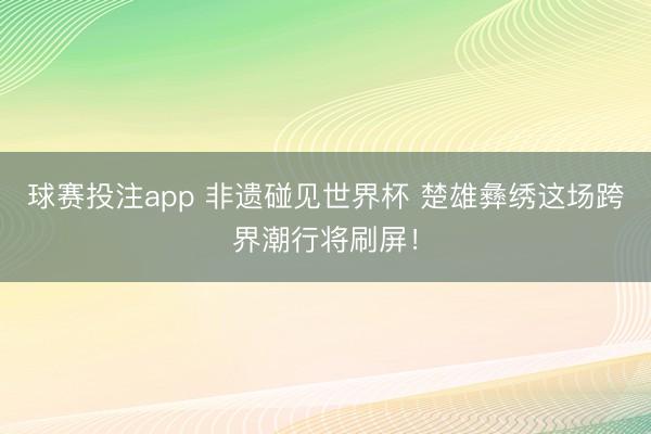 球赛投注app 非遗碰见世界杯 楚雄彝绣这场跨界潮行将刷屏！