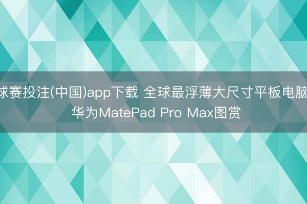 球赛投注(中国)app下载 全球最浮薄大尺寸平板电脑! 华为MatePad Pro Max图赏