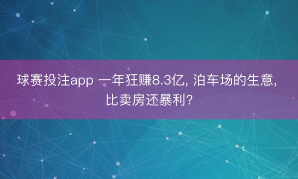 球赛投注app 一年狂赚8.3亿, 泊车场的生意, 比卖房还暴利?