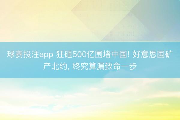 球赛投注app 狂砸500亿围堵中国! 好意思国矿产北约, 终究算漏致命一步
