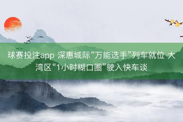 球赛投注app 深惠城际“万能选手”列车就位 大湾区“1小时糊口圈”驶入快车谈