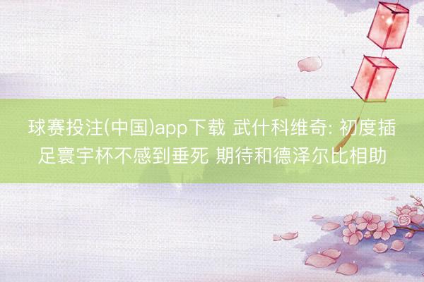 球赛投注(中国)app下载 武什科维奇: 初度插足寰宇杯不感到垂死 期待和德泽尔比相助