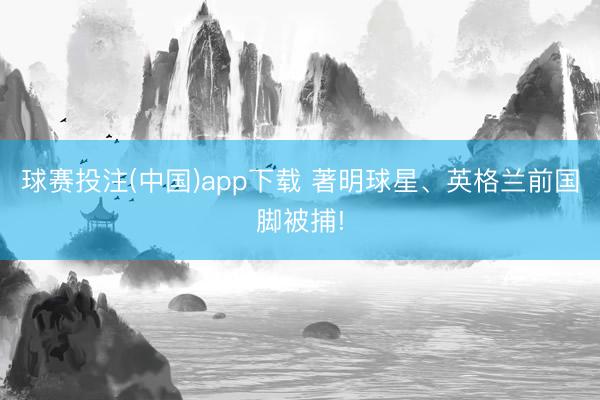 球赛投注(中国)app下载 著明球星、英格兰前国脚被捕!