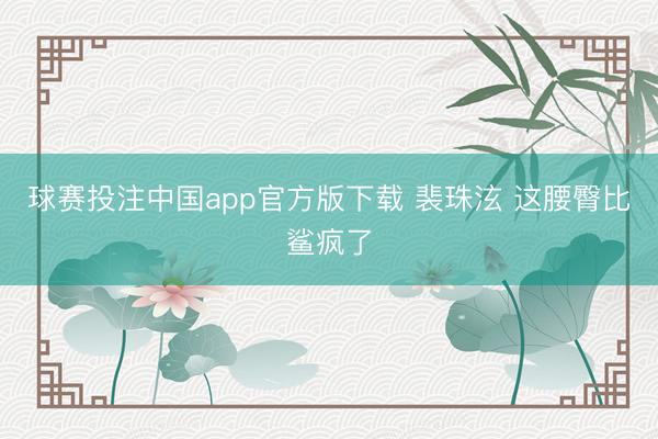 球赛投注中国app官方版下载 裴珠泫 这腰臀比鲨疯了