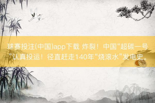 球赛投注(中国)app下载 炸裂！中国“超碳一号”认真投运！径直赶走140年“烧滚水”发电史。