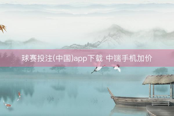 球赛投注(中国)app下载 中端手机加价