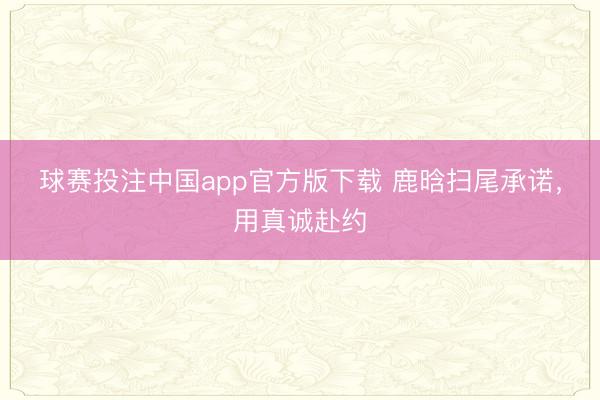 球赛投注中国app官方版下载 鹿晗扫尾承诺,用真诚赴约