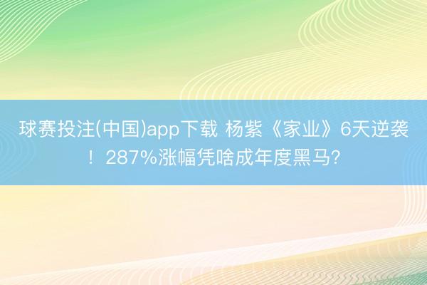 球赛投注(中国)app下载 杨紫《家业》6天逆袭！287%涨幅凭啥成年度黑马？