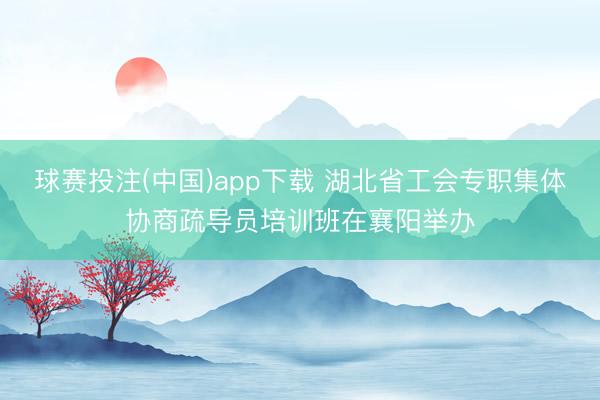 球赛投注(中国)app下载 湖北省工会专职集体协商疏导员培训班在襄阳举办