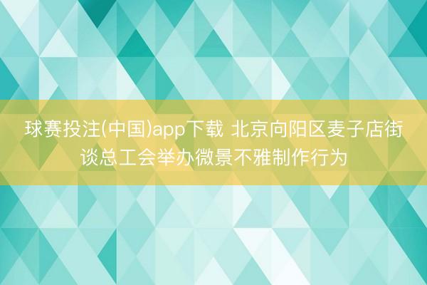 球赛投注(中国)app下载 北京向阳区麦子店街谈总工会举办微景不雅制作行为