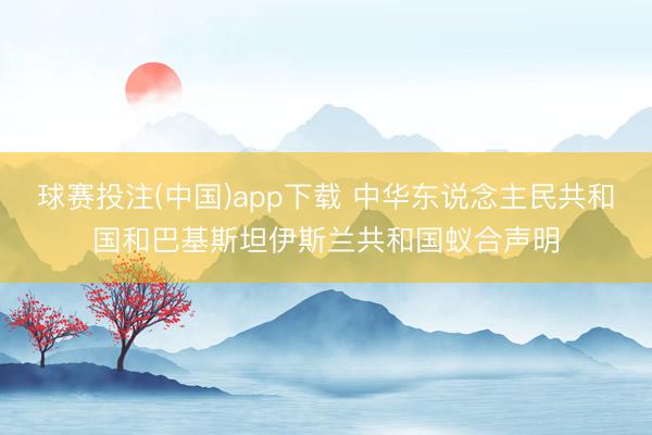 球赛投注(中国)app下载 中华东说念主民共和国和巴基斯坦伊斯兰共和国蚁合声明