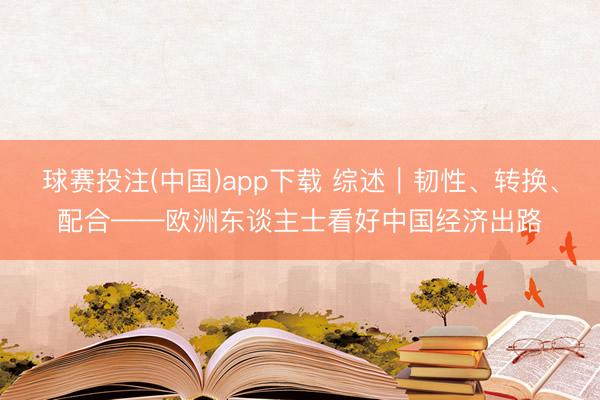 球赛投注(中国)app下载 综述｜韧性、转换、配合——欧洲东谈主士看好中国经济出路