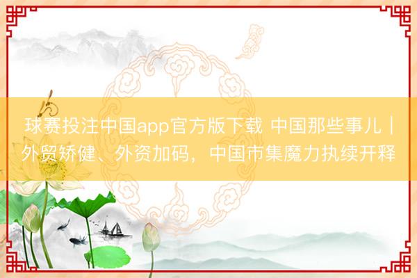 球赛投注中国app官方版下载 中国那些事儿｜外贸矫健、外资加码，中国市集魔力执续开释