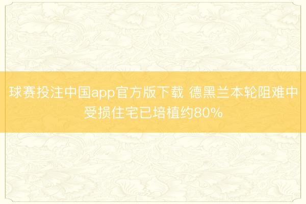 球赛投注中国app官方版下载 德黑兰本轮阻难中受损住宅已培植约80%