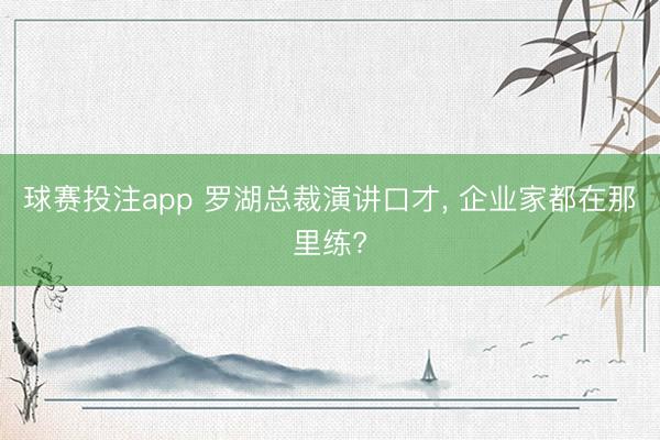 球赛投注app 罗湖总裁演讲口才， 企业家都在那里练?