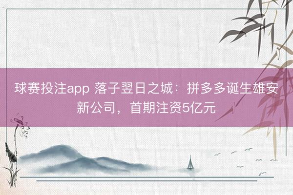 球赛投注app 落子翌日之城：拼多多诞生雄安新公司，首期注资5亿元