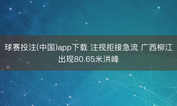 球赛投注(中国)app下载 注视拒接急流 广西柳江出现80.65米洪峰