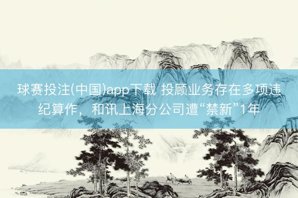 球赛投注(中国)app下载 投顾业务存在多项违纪算作,和讯上海分公司遭“禁新”1年
