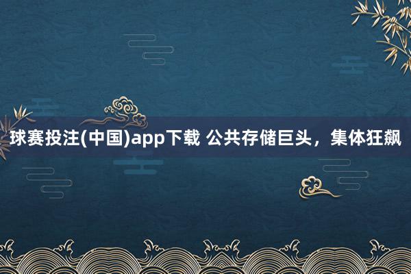 球赛投注(中国)app下载 公共存储巨头，集体狂飙