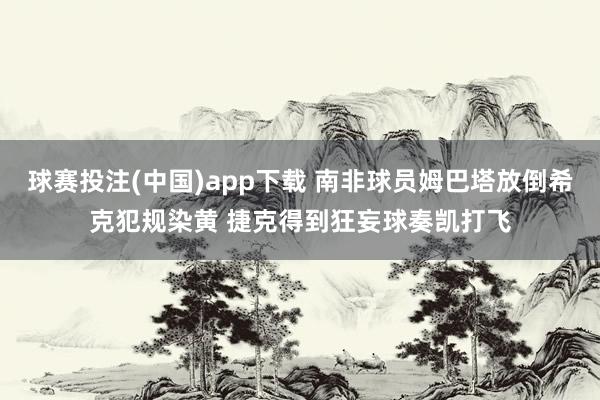球赛投注(中国)app下载 南非球员姆巴塔放倒希克犯规染黄 捷克得到狂妄球奏凯打飞